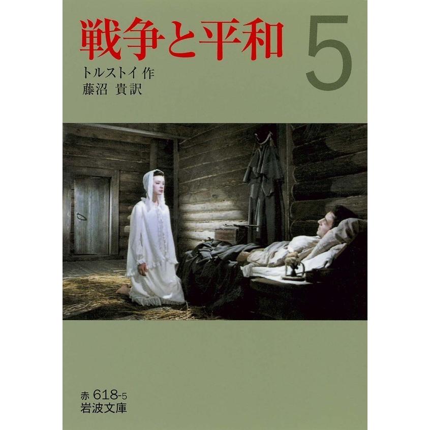 戦争と平和 (五) 電子書籍版 / トルストイ 著/藤沼貴 訳｜ebookjapan