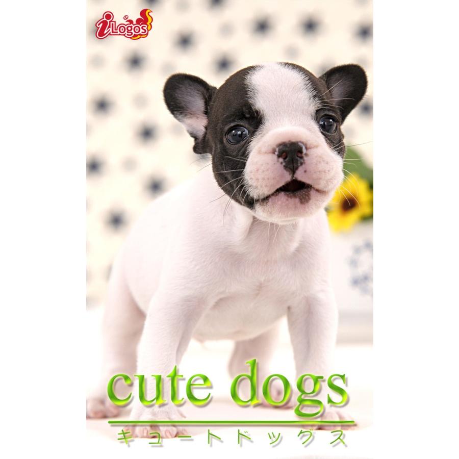 cute dogs21 フレンチブルドッグ 電子書籍版 / 編集:アキバ書房｜ebookjapan