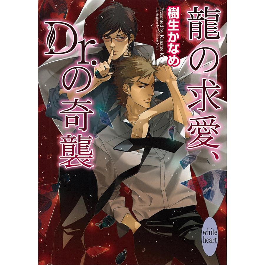 初回50 Offクーポン 龍 Dr シリーズ 6 10巻セット 電子書籍版 樹生かなめ 奈良千春 イラスト B Ebookjapan 通販 Yahoo ショッピング