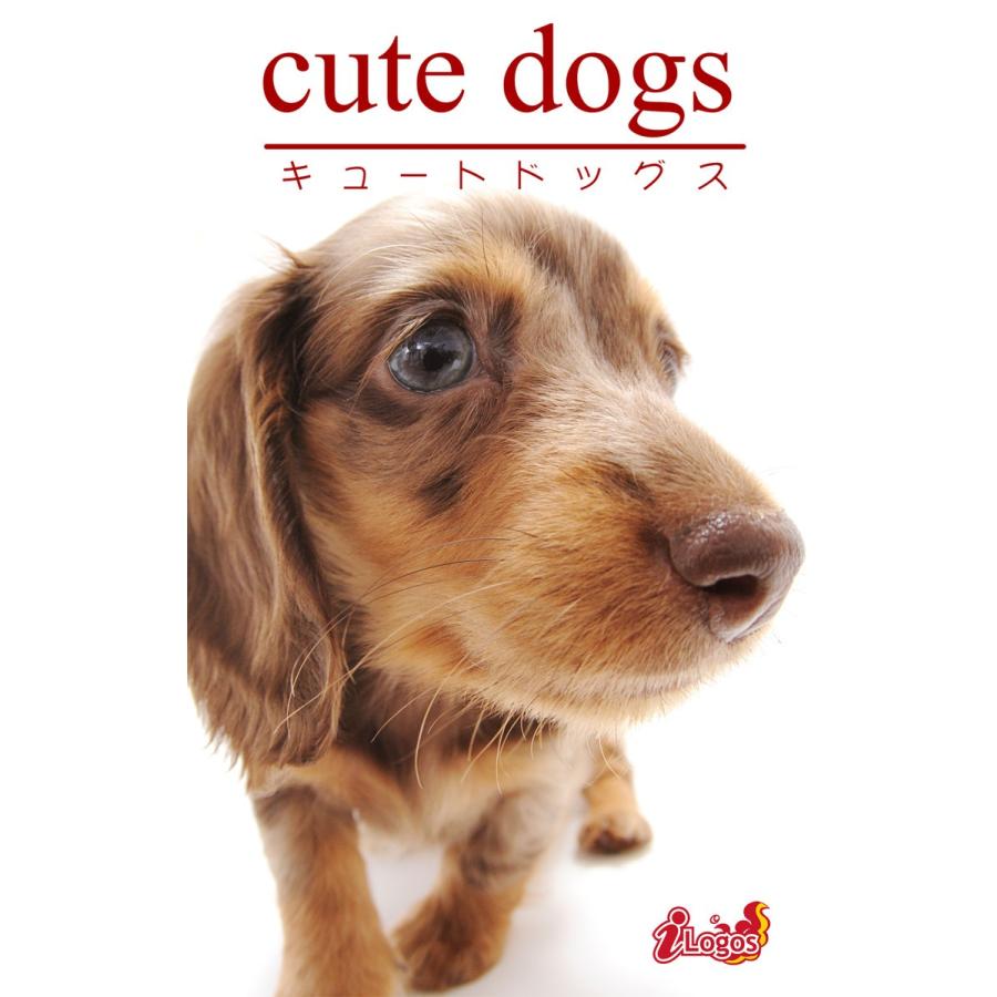 cute dogs28 ダックスフンド 電子書籍版 / 編集:アキバ書房｜ebookjapan