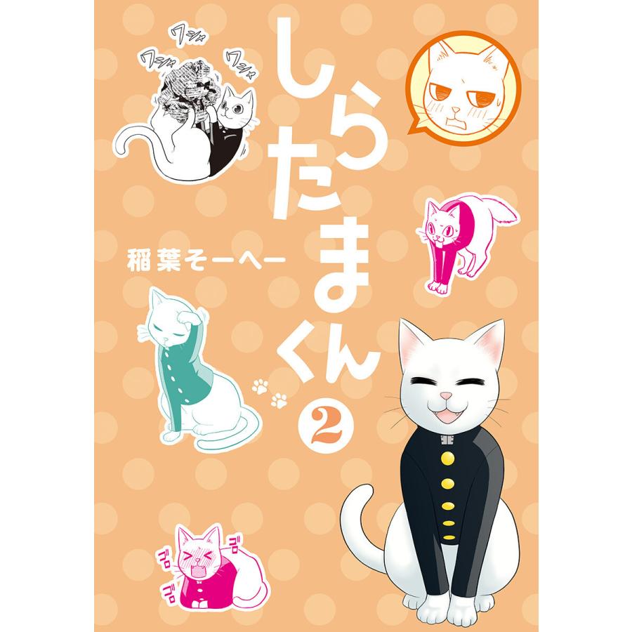 初回50 Offクーポン しらたまくん 2 電子書籍版 稲葉そーへー B Ebookjapan 通販 Yahoo ショッピング