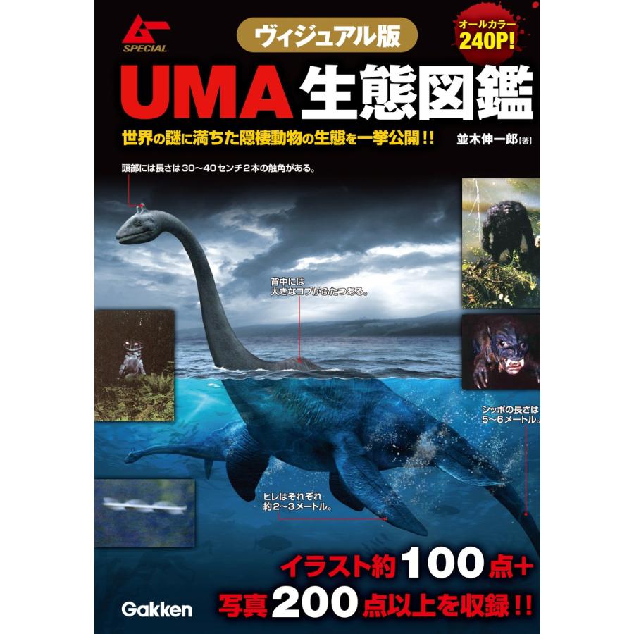 ヴィジュアル版 Uma生態図鑑 電子書籍版 並木伸一郎 B Ebookjapan 通販 Yahoo ショッピング