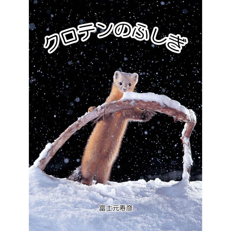 クロテンのふしぎ 電子書籍版 / 著:富士元寿彦｜ebookjapan