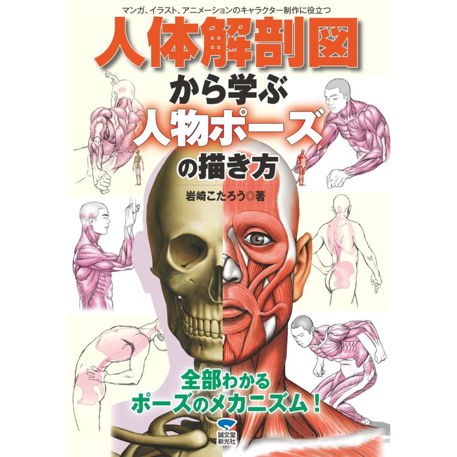 人体解剖図から学ぶ人物ポーズの描き方 電子書籍版 岩崎こたろう B Ebookjapan 通販 Yahoo ショッピング