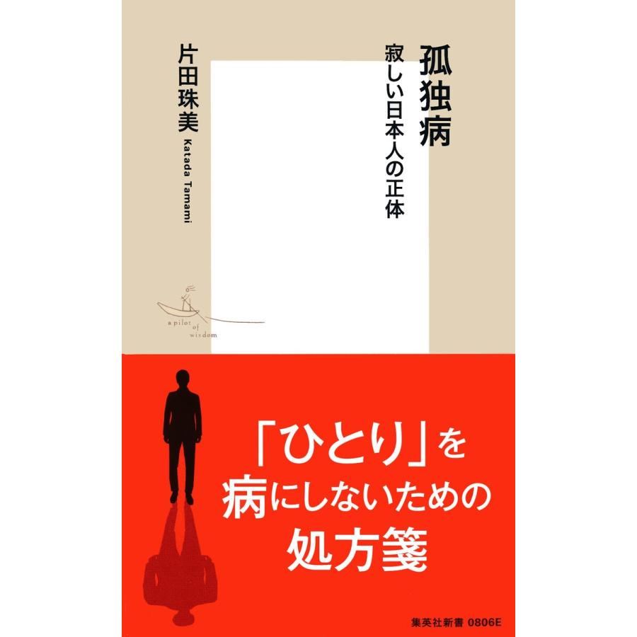 最安値挑戦 災害と子どものこころ 集英社新書 清水將之 柳田邦男 井出浩 田中究 Mojeirysy Pl