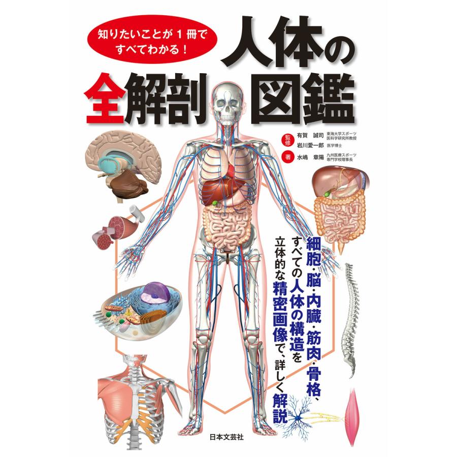 知りたいことが1冊ですべてわかる 人体の全解剖図鑑 電子書籍版 監修 有賀誠司 B Ebookjapan 通販 Yahoo ショッピング