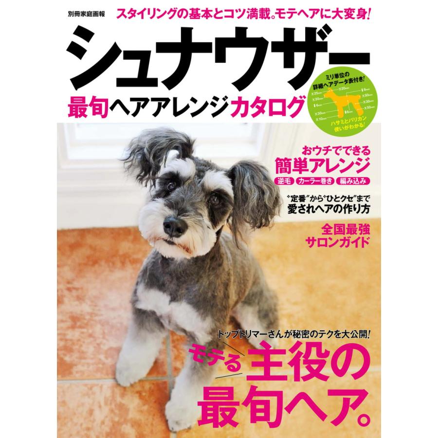 シュナウザー最旬ヘアアレンジカタログ 電子書籍版 世界文化社 B Ebookjapan 通販 Yahoo ショッピング
