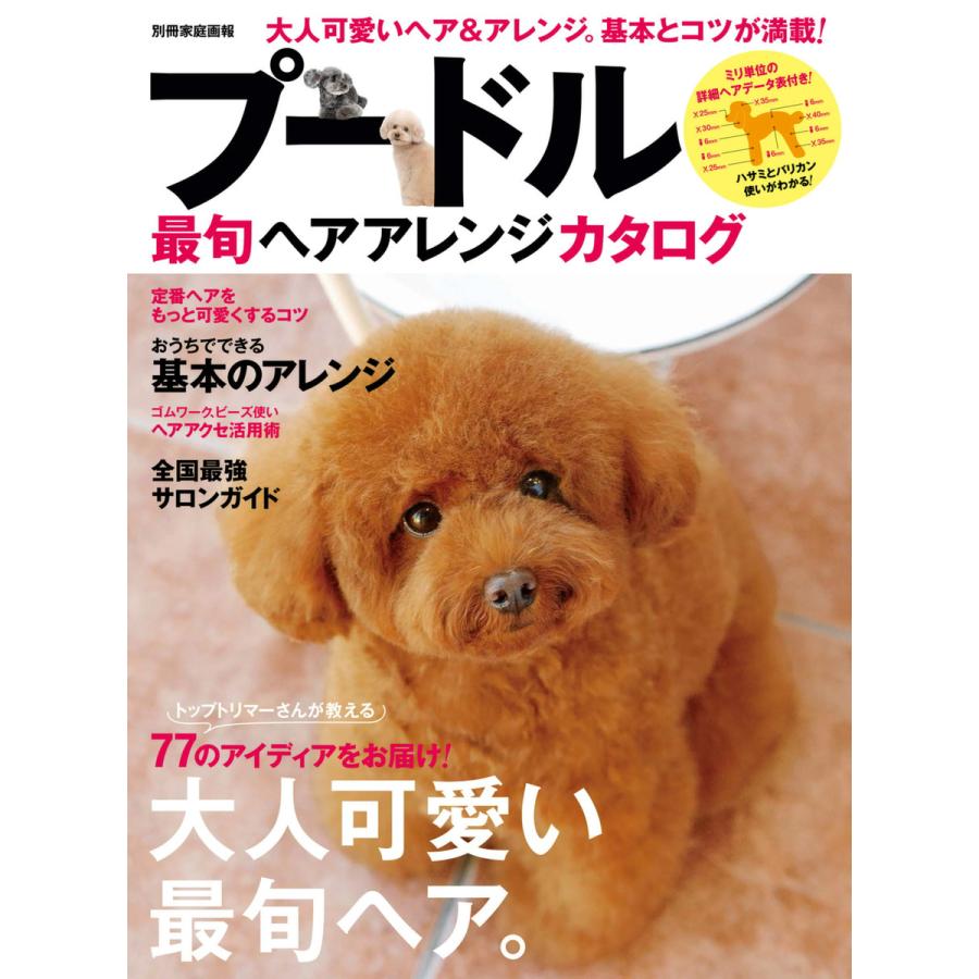 プードル最旬ヘアアレンジカタログ 電子書籍版 世界文化社 B Ebookjapan 通販 Yahoo ショッピング