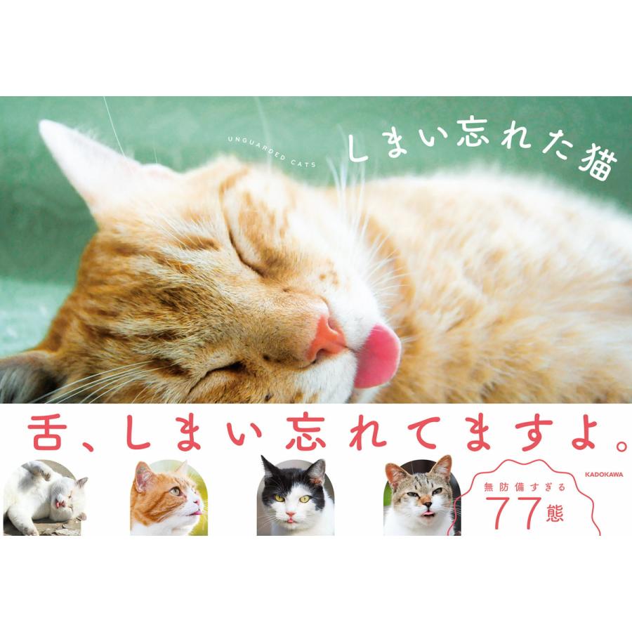 しまい忘れた猫 電子書籍版 編 Kadokawa B Ebookjapan 通販 Yahoo ショッピング