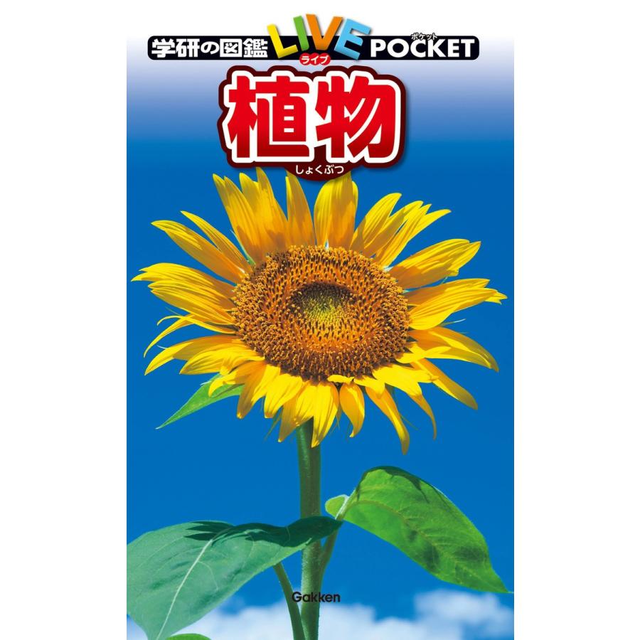 植物 電子書籍版 / 樋口正信｜ebookjapan