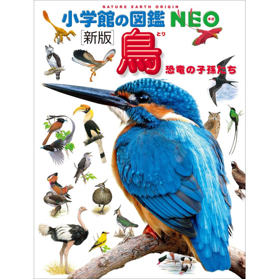 小学館の図鑑NEO〔新版〕鳥 電子書籍版 / 上田恵介(監)/柚木修(著)/水谷高英(画) | 
