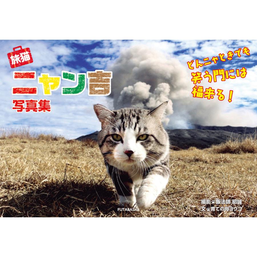 旅猫ニャン吉写真集 どんニャときでも笑う門には福来る 電子書籍版 飯法師昭誠 育ての母ヨウコ B Ebookjapan 通販 Yahoo ショッピング