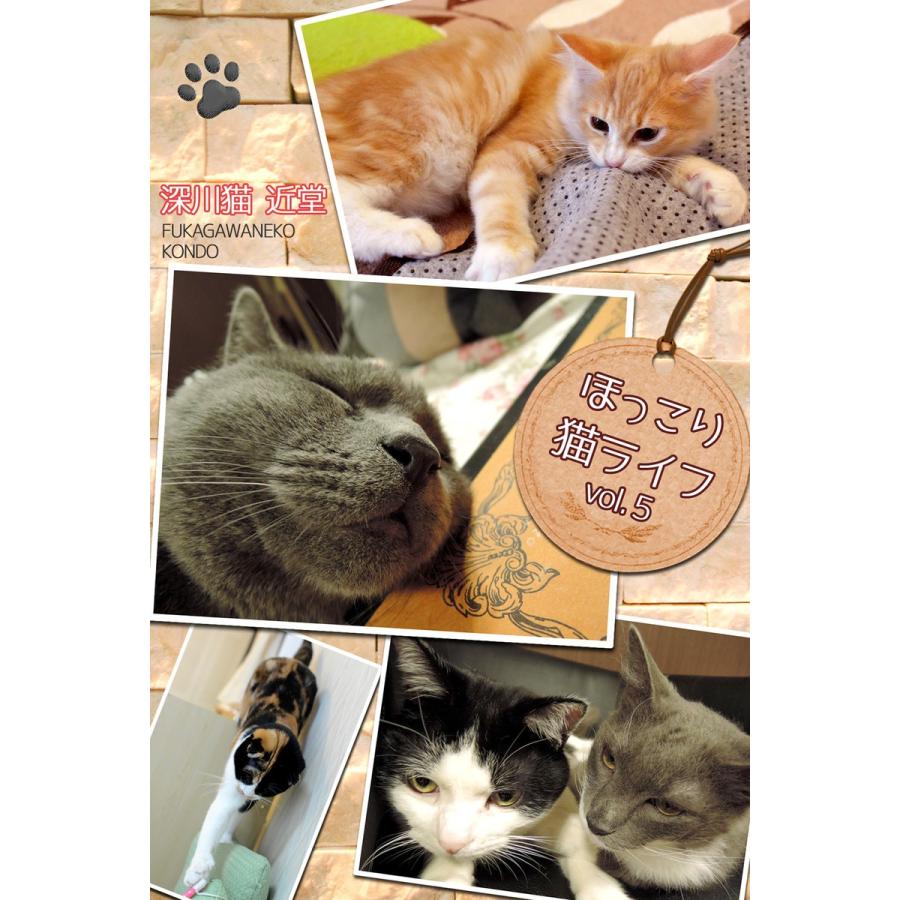 ほっこり猫ライフ vol.5 電子書籍版 / 深川猫近堂/BlueLabel｜ebookjapan