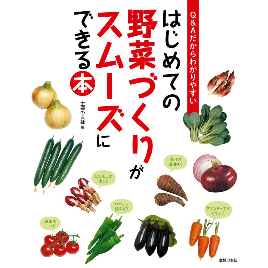 はじめての野菜づくりがスムーズにできる本 電子書籍版 主婦の友社 B Ebookjapan 通販 Yahoo ショッピング
