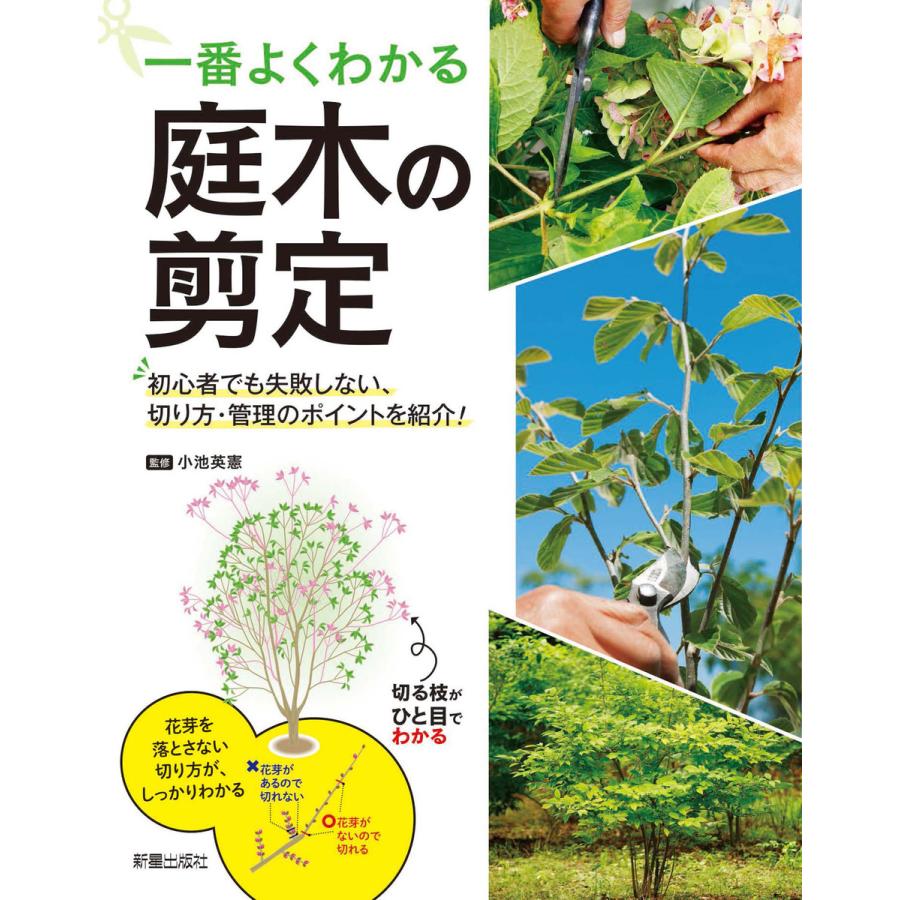 一番よくわかる 庭木の剪定 電子書籍版 監修 小池英憲 B Ebookjapan 通販 Yahoo ショッピング