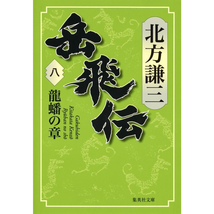 岳飛伝 八 龍蟠の章 電子書籍版 / 北方謙三｜ebookjapan