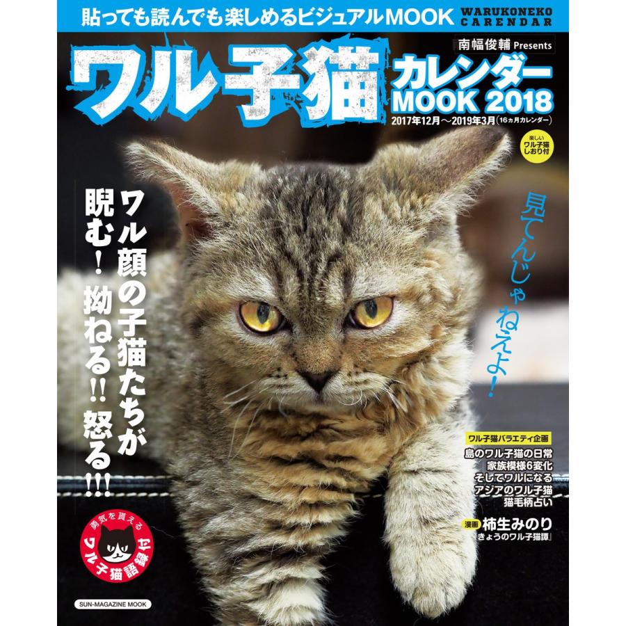 ワル子猫 カレンダーMOOK 2018 電子書籍版 / 南幅俊輔｜ebookjapan