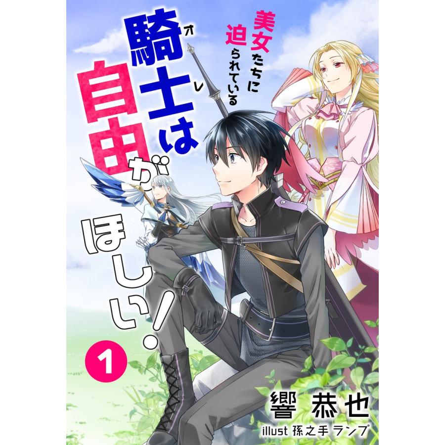 美女たちに迫られている騎士 オレ は自由がほしい 1話 電子書籍版 響恭也 イラスト 孫之手ランプ B Ebookjapan 通販 Yahoo ショッピング