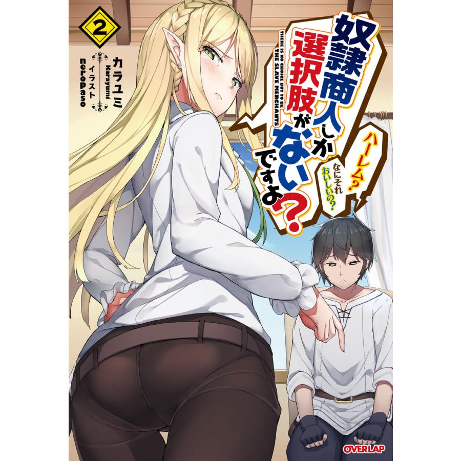 奴隷商人しか選択肢がないですよ? 〜ハーレム? なにそれおいしいの  