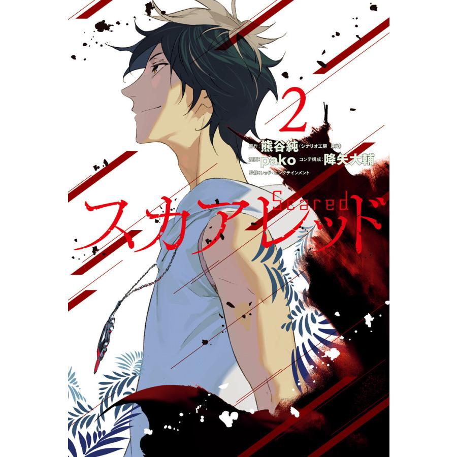 スカアレッド 2 電子書籍版 原作 熊谷純 シナリオ工房 月光 漫画 Pako コンテ構成 降矢大輔 監修 レッド エンタテインメント B Ebookjapan 通販 Yahoo ショッピング