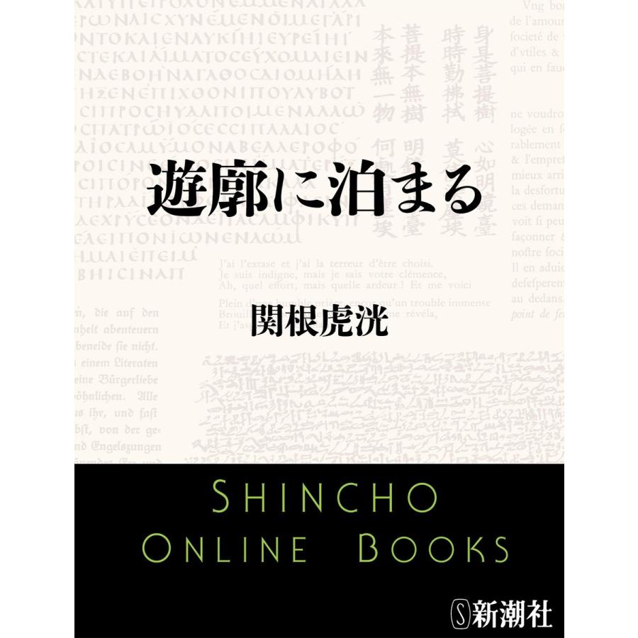 遊廓に泊まる(とんぼの本) 電子書籍版 / 関根虎洸｜ebookjapan