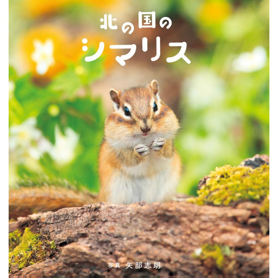 北の国のシマリス 電子書籍版 / 矢部 志朗｜ebookjapan