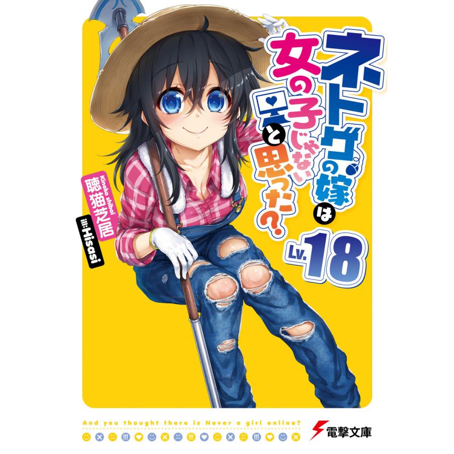 ネトゲの嫁は女の子じゃないと思った? Lv.18 電子書籍版 / 著者:聴猫 