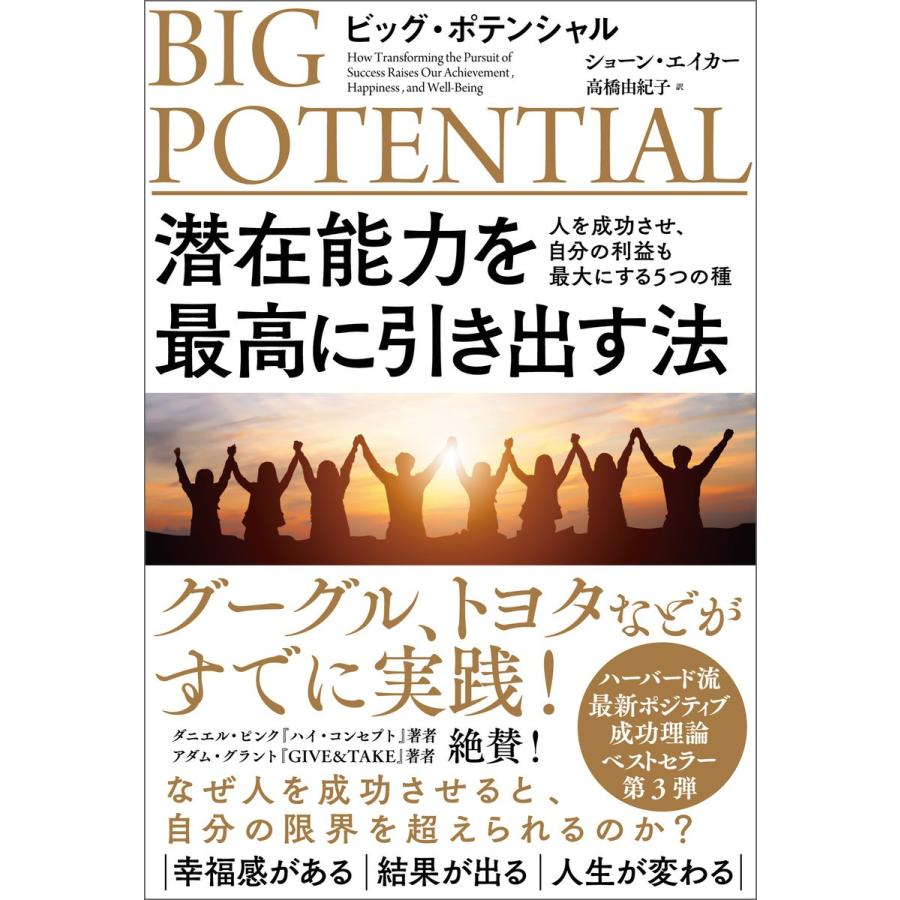 初回50 Offクーポン ビッグ ポテンシャル 潜在能力を最高に引き出す法 人を成功させ 自分の利益も最大にする5つの種 電子書籍版 B00162104443 Ebookjapan 通販 Yahoo ショッピング