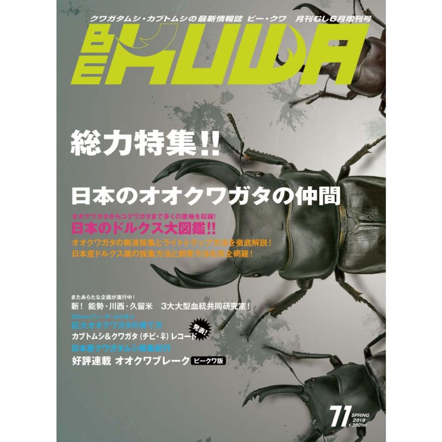 BE-KUWA 71 電子書籍版 / BE-KUWA編集部｜ebookjapan