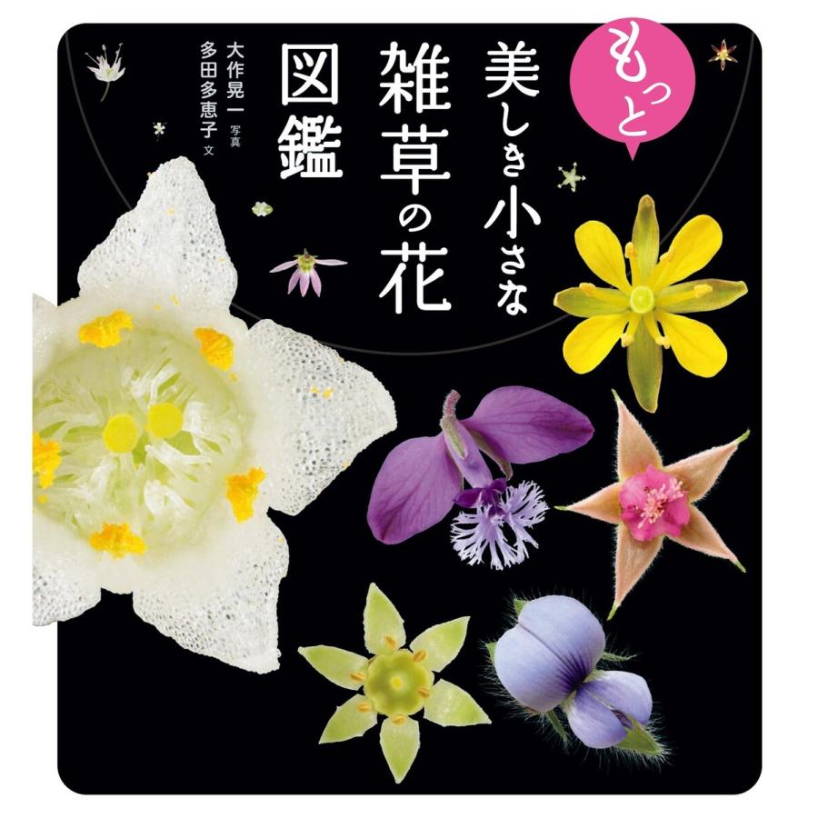 もっと美しき小さな雑草の花図鑑 電子書籍版 / 写真:大作晃一 著:多田多恵子 | 