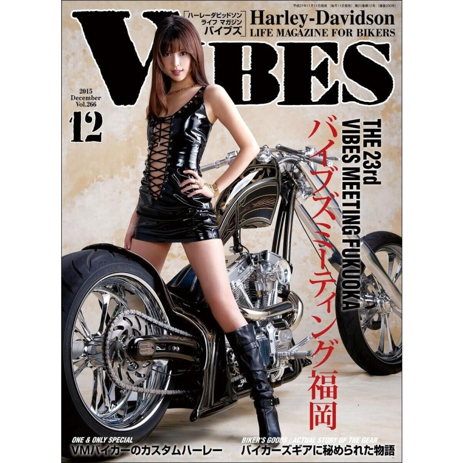 VIBES【バイブズ】2015年12月号 電子書籍版 / VIBES編集部｜ebookjapan