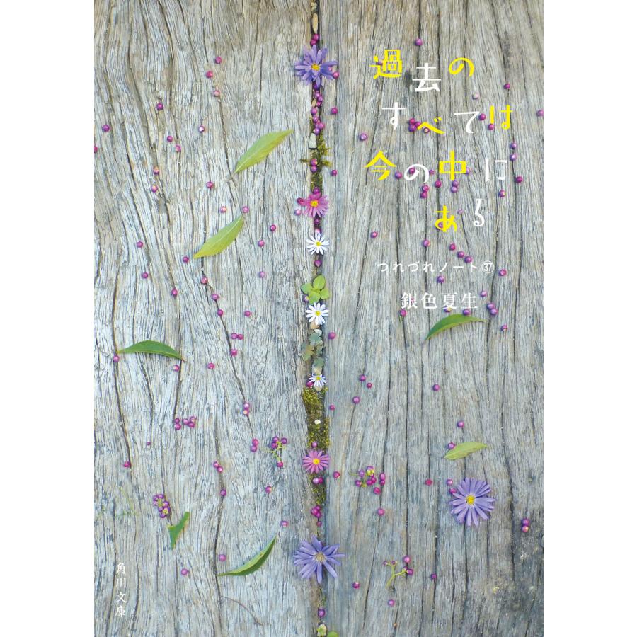 過去のすべては今の中にある つれづれノート(37) 電子書籍版 / 著者:銀色夏生 | 