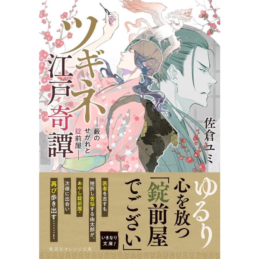 ツギネ江戸奇譚 ―藪のせがれと錠前屋― 電子書籍版 / 佐倉ユミ/鈴木次郎｜ebookjapan