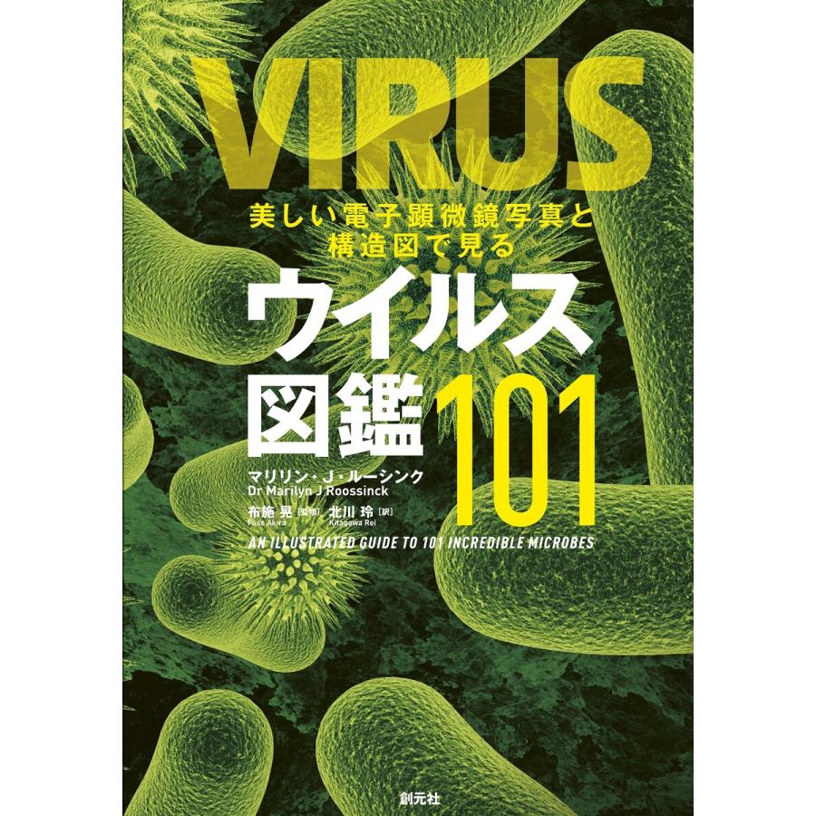 美しい電子顕微鏡写真と構造図で見るウイルス図鑑101 電子書籍版 マリリン J ルーシンク 布施晃 北川玲 B Ebookjapan 通販 Yahoo ショッピング