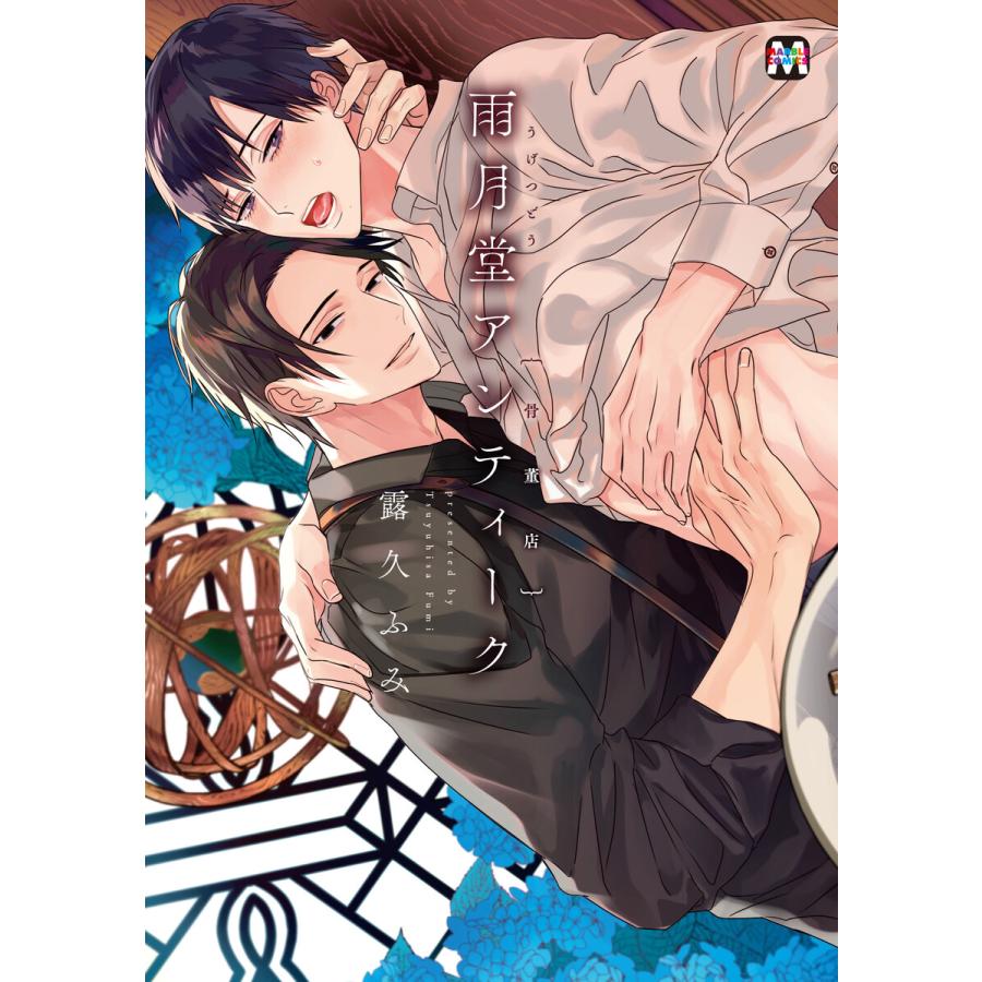 雨月堂アンティーク 電子書籍版 著 露久ふみ B Ebookjapan 通販 Yahoo ショッピング