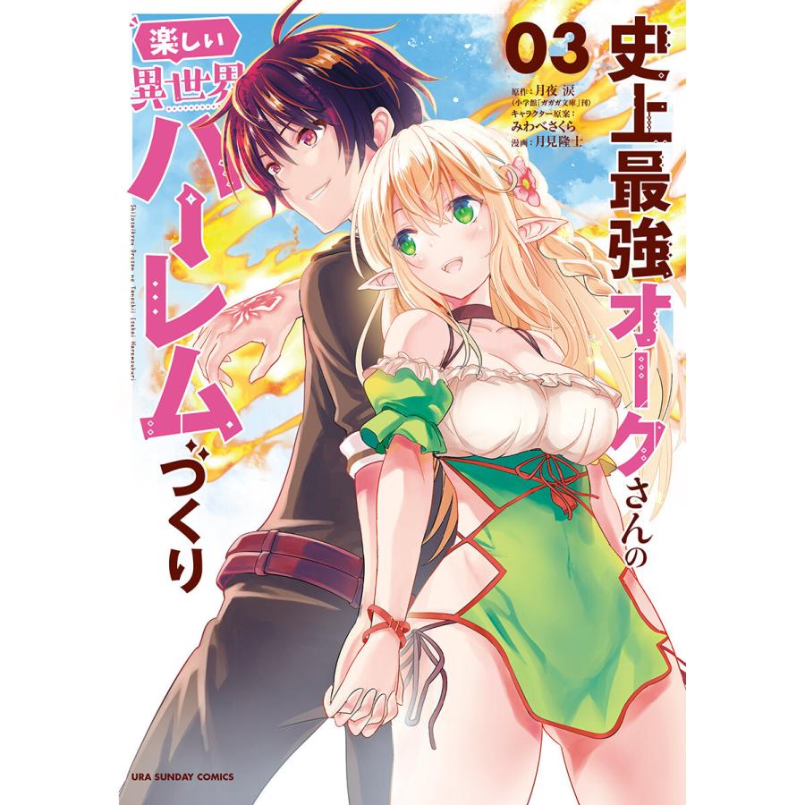 世界 ハーレム 物語 異