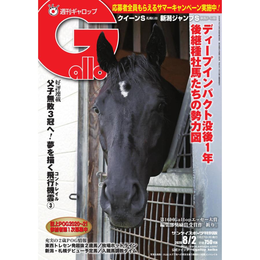週刊Gallop(ギャロップ) 2020年8月2日号 電子書籍版 / 週刊Gallop(ギャロップ)編集部｜ebookjapan