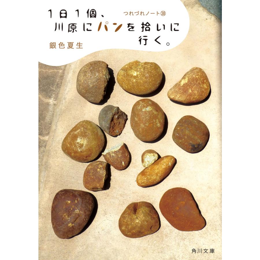 1日1個、川原にパンを拾いに行く。 つれづれノート(38) 電子書籍版 / 著者:銀色夏生 | 
