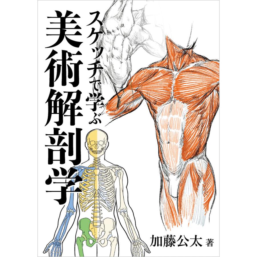 スケッチで学ぶ美術解剖学 電子書籍版 / 著:加藤公太｜ebookjapan