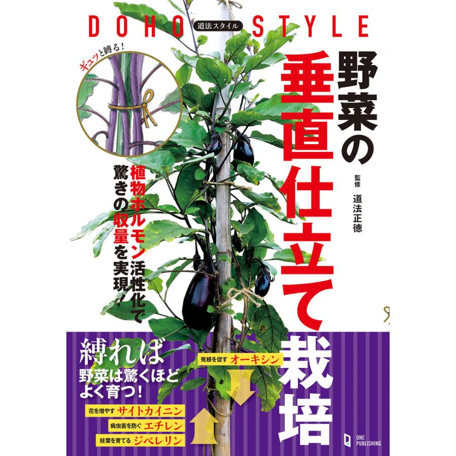 初回50 Offクーポン 道法スタイル 野菜の垂直仕立て栽培 電子書籍版 道法正徳 B Ebookjapan 通販 Yahoo ショッピング