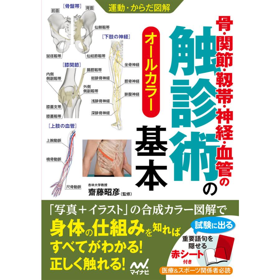 運動・からだ図解 骨・関節・靱帯・神経・血管の触診術の基本 電子書籍版 / 著:齋藤昭彦 | 