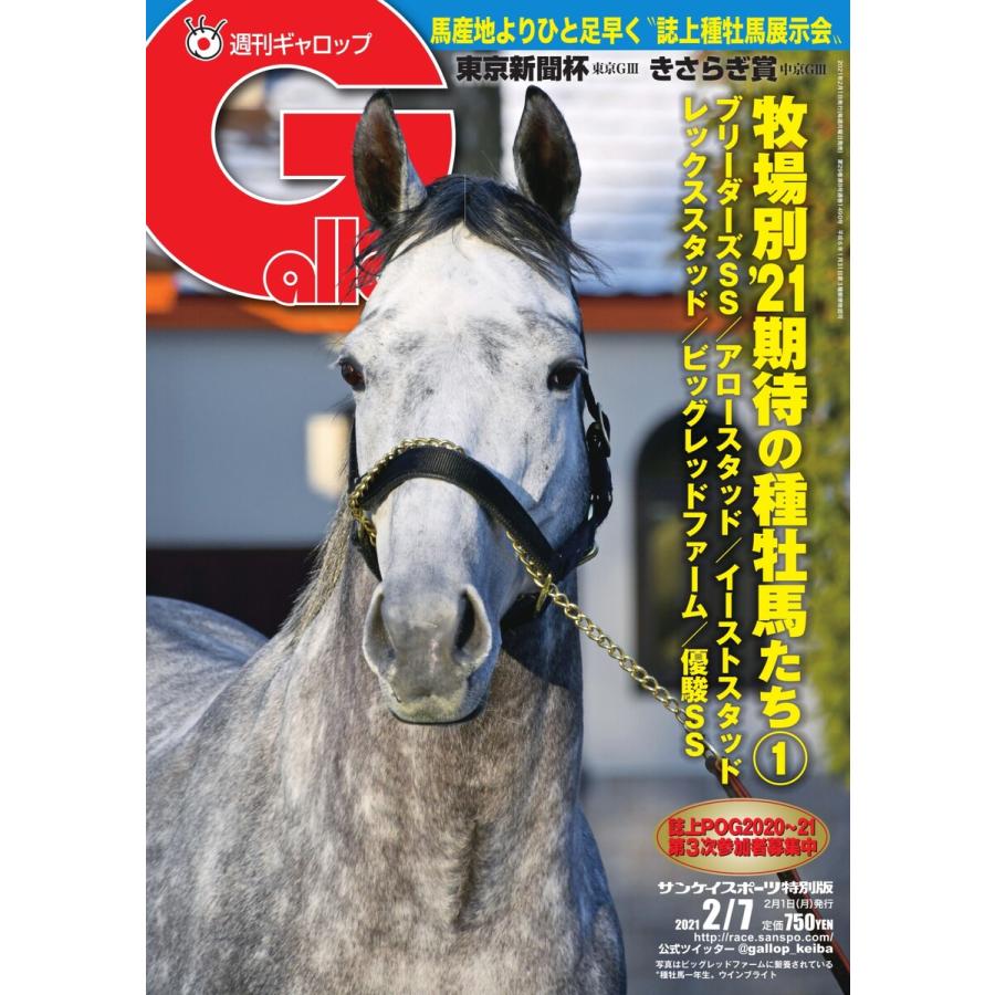 週刊gallop ギャロップ 21年2月7日号 電子書籍版 週刊gallop ギャロップ 編集部 B Ebookjapan 通販 Yahoo ショッピング