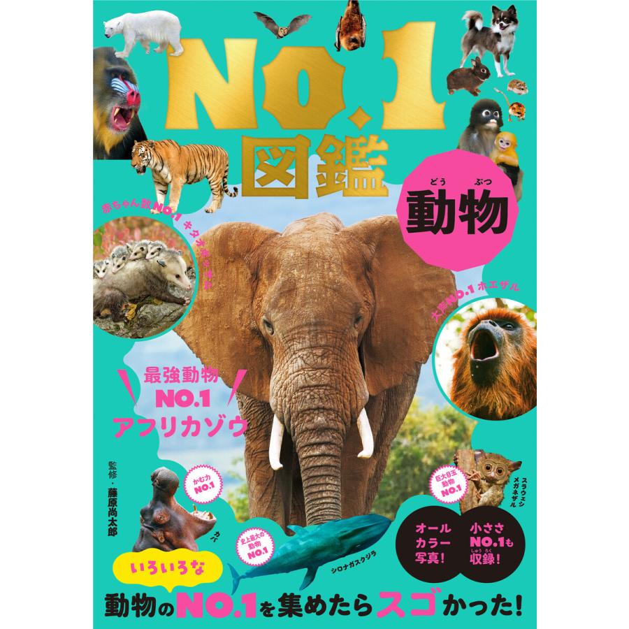 動物No.1図鑑 電子書籍版 / 著:藤原尚太郎｜ebookjapan