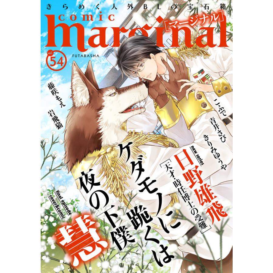 comic marginal : 54 電子書籍版｜ebookjapan