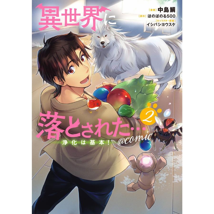 異世界に落とされた 浄化は基本 Comic 第2巻 電子書籍版 著 中島鯛 原作 ほのぼのる500 キャラクター原案 イシバシヨウスケ B Ebookjapan 通販 Yahoo ショッピング