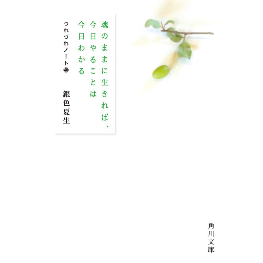 魂のままに生きれば、今日やることは今日わかる つれづれノート(40) 電子書籍版 / 著者:銀色夏生 | 