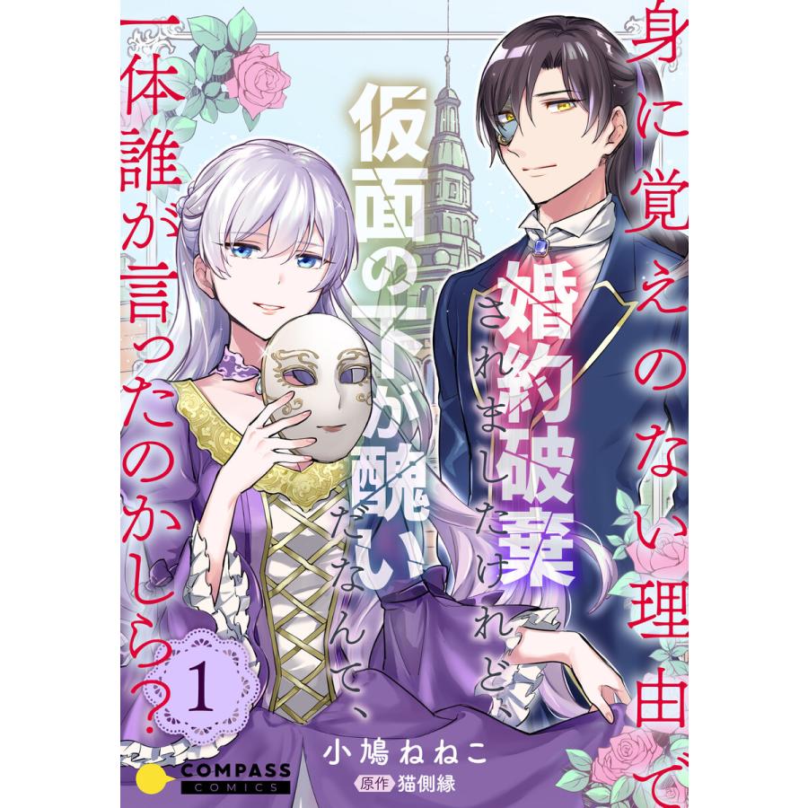 身に覚えのない理由で婚約破棄されましたけれど 仮面の下が醜いだなんて 一体誰が言ったのかしら 限定書きおろし小説付きコミックス版 1 電子書籍 B Ebookjapan 通販 Yahoo ショッピング