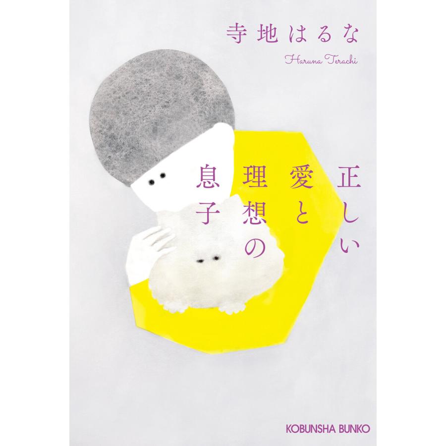 正しい愛と理想の息子 電子書籍版 / 寺地はるな｜ebookjapan