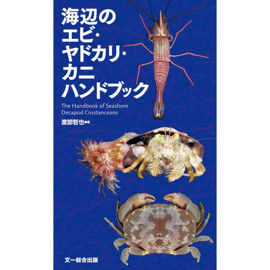 海辺のエビ・ヤドカリ・カニハンドブック 電子書籍版 / 渡部 哲也｜ebookjapan