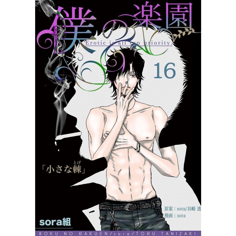 僕の楽園(16) 電子書籍版 / 著:sora組 原作:sora 原作:谷崎透｜ebookjapan